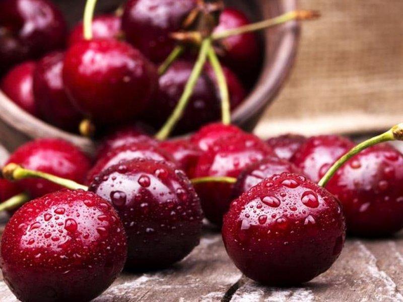 Вишня купить саженцы из питомника в Рубцовске